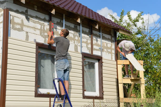 Best Fascia and Soffit Installation  in Ackley, IA