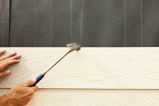 Best Custom Siding Design  in Ackley, IA